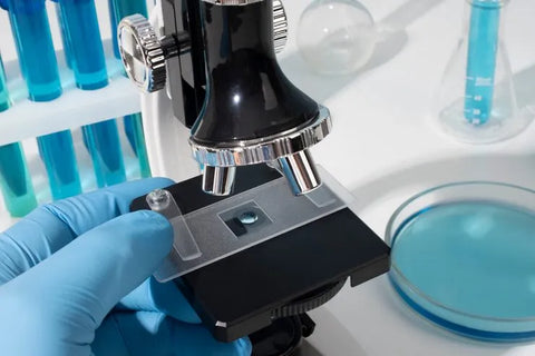 Microscope Slides & Hemocytometers