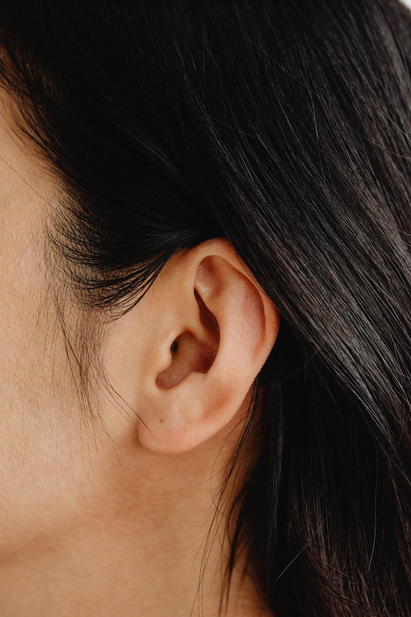 Ear Specula Accessories