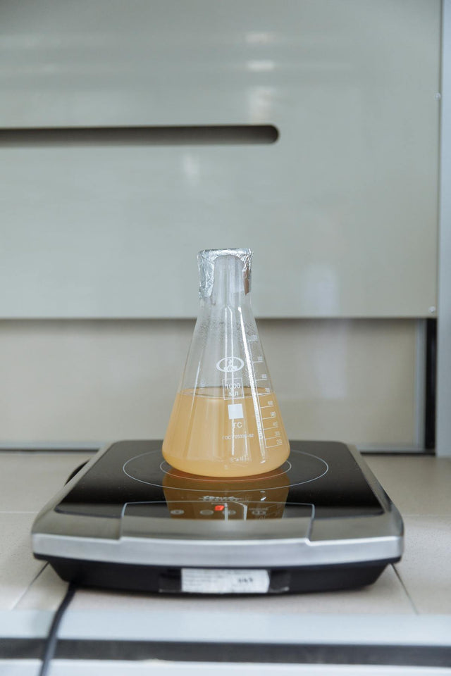 Magnetic stirrer with Erlenmeyer flask