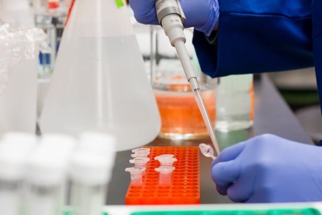 Pipettes And Pipette Tips