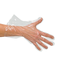 PE-Handschuhe, groß #531